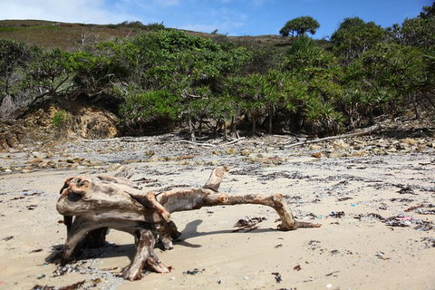 Tropical Beach Adventure - Private 4X4 Day Tour With Pickup - Nambucca Heads Accommodation 5