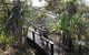 Tropical Beach Adventure - Private 4X4 Day Tour With Pickup - thumb 1