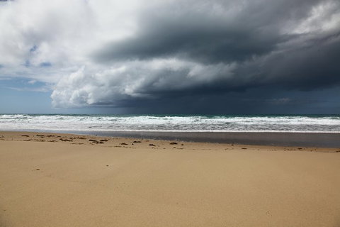 Tropical Beach Adventure - Private 4X4 Day Tour With Pickup - Nambucca Heads Accommodation 9