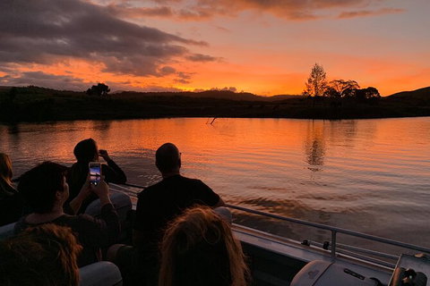 Daintree River Sunset Cruise - Nambucca Heads Accommodation 0
