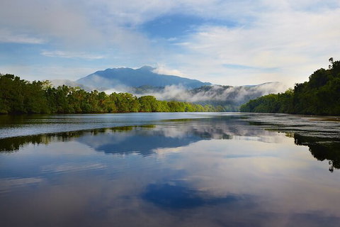 Daintree River Sunset Cruise - Nambucca Heads Accommodation 1