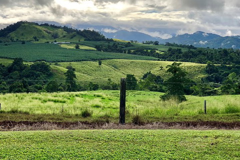 Tableland Tasting Tour - Nambucca Heads Accommodation 0