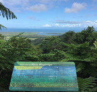 Daintree Luxury Limousine Tour - Full Day - Nambucca Heads Accommodation