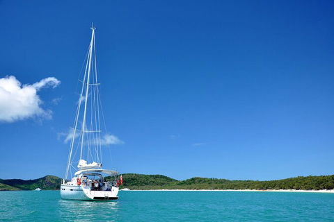Sailing Curlew Escape On Moreton Bay - Nambucca Heads Accommodation 0