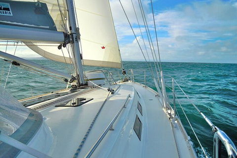 Sailing Curlew Escape On Moreton Bay - Nambucca Heads Accommodation 7