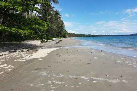 Private Transfers - Cairns Airport To Palm Cove - Nambucca Heads Accommodation 1