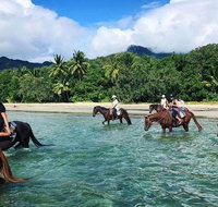 Afternoon Beach Horse Ride in Cape Tribulation - Nambucca Heads Accommodation