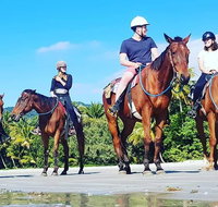 Mid-Morning Beach Horse Ride in Cape Tribulation with Pick Up - Nambucca Heads Accommodation