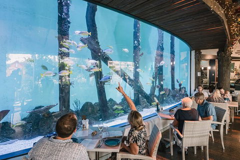 Cairns Aquarium Tour By Twilight With Drink And Appetiser - Nambucca Heads Accommodation 1
