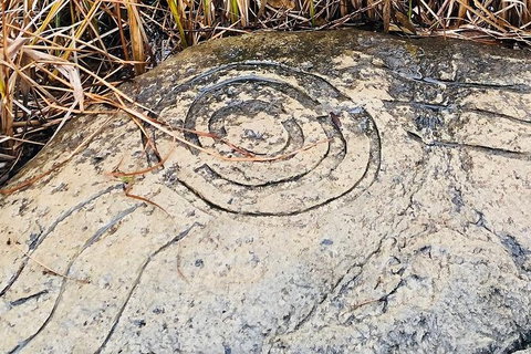 Adelaide Cultural Safari - Private Charters - Nambucca Heads Accommodation 2