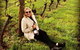 Tamar Valley Wine Tours - thumb 42