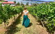Tamar Valley Wine Tours - thumb 16