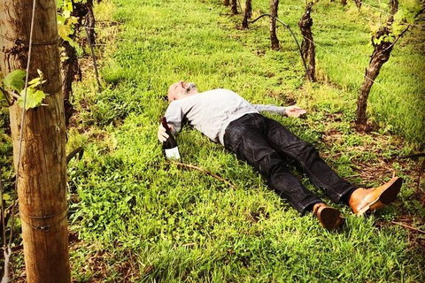 Tamar Valley Wine Tours - Nambucca Heads Accommodation 28