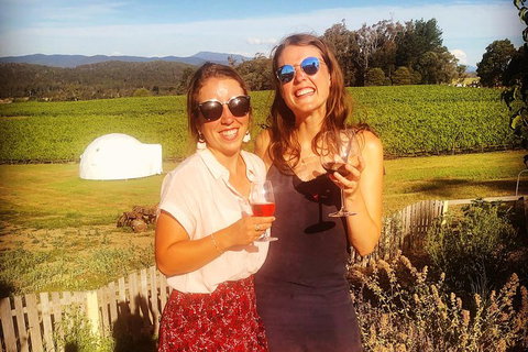 Tamar Valley Wine Tours - Nambucca Heads Accommodation 10