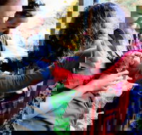 Sunset Experience - Nambucca Heads Accommodation