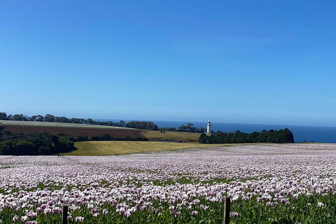 Table Cape Lighthouse Tours - Nambucca Heads Accommodation 8