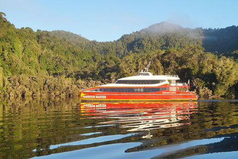Afternoon Gordon River Dinner Cruise - Departing 3pm - Nambucca Heads Accommodation 1