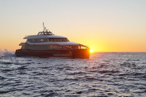 Afternoon Gordon River Dinner Cruise - Departing 3pm - Nambucca Heads Accommodation 0