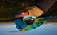 Private Balloon Flight - thumb 1