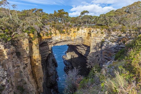 Highlights Of Tasmania Premium Small Group 7 Days Touring Package - Nambucca Heads Accommodation 10