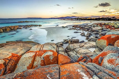 Highlights Of Tasmania Premium Small Group 7 Days Touring Package - Nambucca Heads Accommodation 12