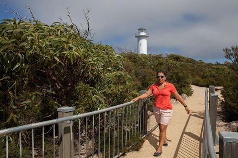 Half-Day Tour To Wineglass Bay From Launceston With Guide - Nambucca Heads Accommodation 2