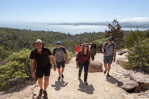 Half-Day Tour To Wineglass Bay From Launceston With Guide - Nambucca Heads Accommodation 4
