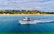 3 Hour Dolphin And Seal Swim (NOV-APR) - thumb 2