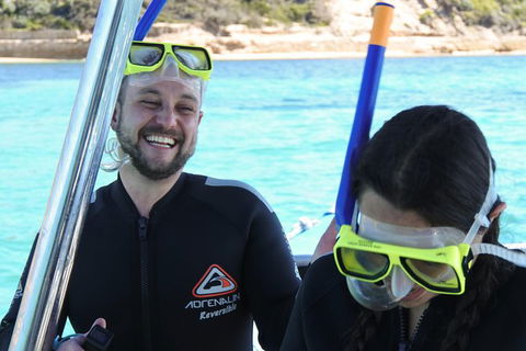 Dolphin And Seal Swim Reef Snorkel Boat Tour Mornington Peninsula - Nambucca Heads Accommodation 17