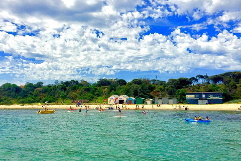 Stand Up Paddle Boarding - Nambucca Heads Accommodation 9