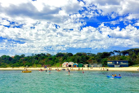 Stand Up Paddle Boarding - Nambucca Heads Accommodation 1