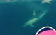 Stand Up Paddle Boarding - thumb 3