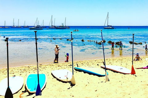 Stand Up Paddle Boarding - Nambucca Heads Accommodation 10