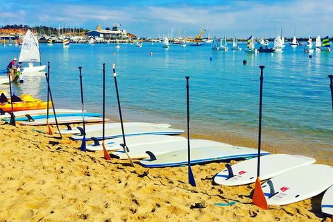 Stand Up Paddle Boarding - Nambucca Heads Accommodation 0