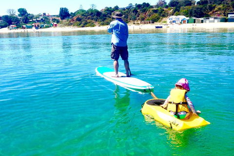 Stand Up Paddle Boarding - Nambucca Heads Accommodation 8