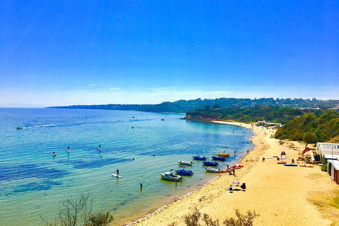Stand Up Paddle Boarding - Nambucca Heads Accommodation 5
