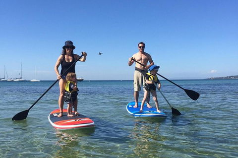 Stand Up Paddle Boarding - Nambucca Heads Accommodation 4