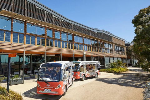 The Explorer - Cranbourne Gardens - Nambucca Heads Accommodation 3