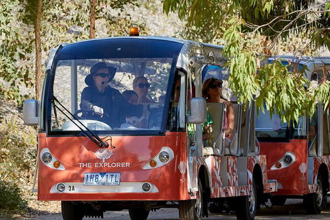 The Explorer - Cranbourne Gardens - Nambucca Heads Accommodation 0