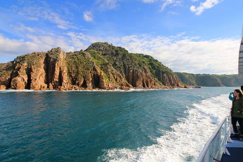 Dolphin & Whale Cruise - Nambucca Heads Accommodation 2