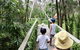 Boneo Maze: General Entry Ticket - thumb 0