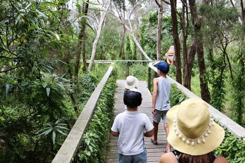 Boneo Maze: General Entry Ticket - Nambucca Heads Accommodation 0
