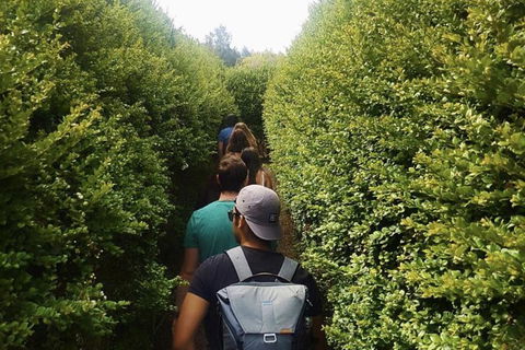 Boneo Maze: General Entry Ticket - Nambucca Heads Accommodation 1