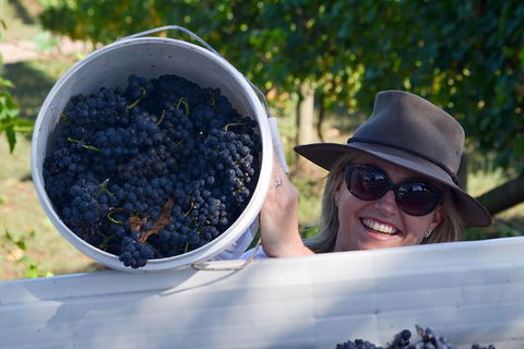Meet The Farmer, Meet The Chef For 2 People - Nambucca Heads Accommodation 8