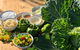 Meet The Farmer, Meet The Chef For 2 People - thumb 6