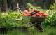 Meet The Farmer, Meet The Chef For 2 People - thumb 14