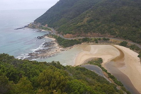The Great Ocean Road 1 Day Private Sunset Tour - Nambucca Heads Accommodation 5