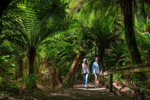 The Great Ocean Road 1 Day Private Sunset Tour - Nambucca Heads Accommodation 1