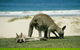 LGBT+ Friendly 12-Hour Great Ocean Road Private Tour - thumb 3