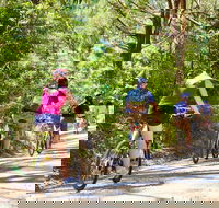 Cycle Tour  Self Guided  Mornington Peninsula Victoria  Wine Region - Nambucca Heads Accommodation